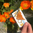 Crafted from 100% recycled plastic collected in the heart of the Yukon, this key ring is more than just a way to carry your keys &mdash; it&rsquo;s a symbol of resilience, renewal, and respect for the land